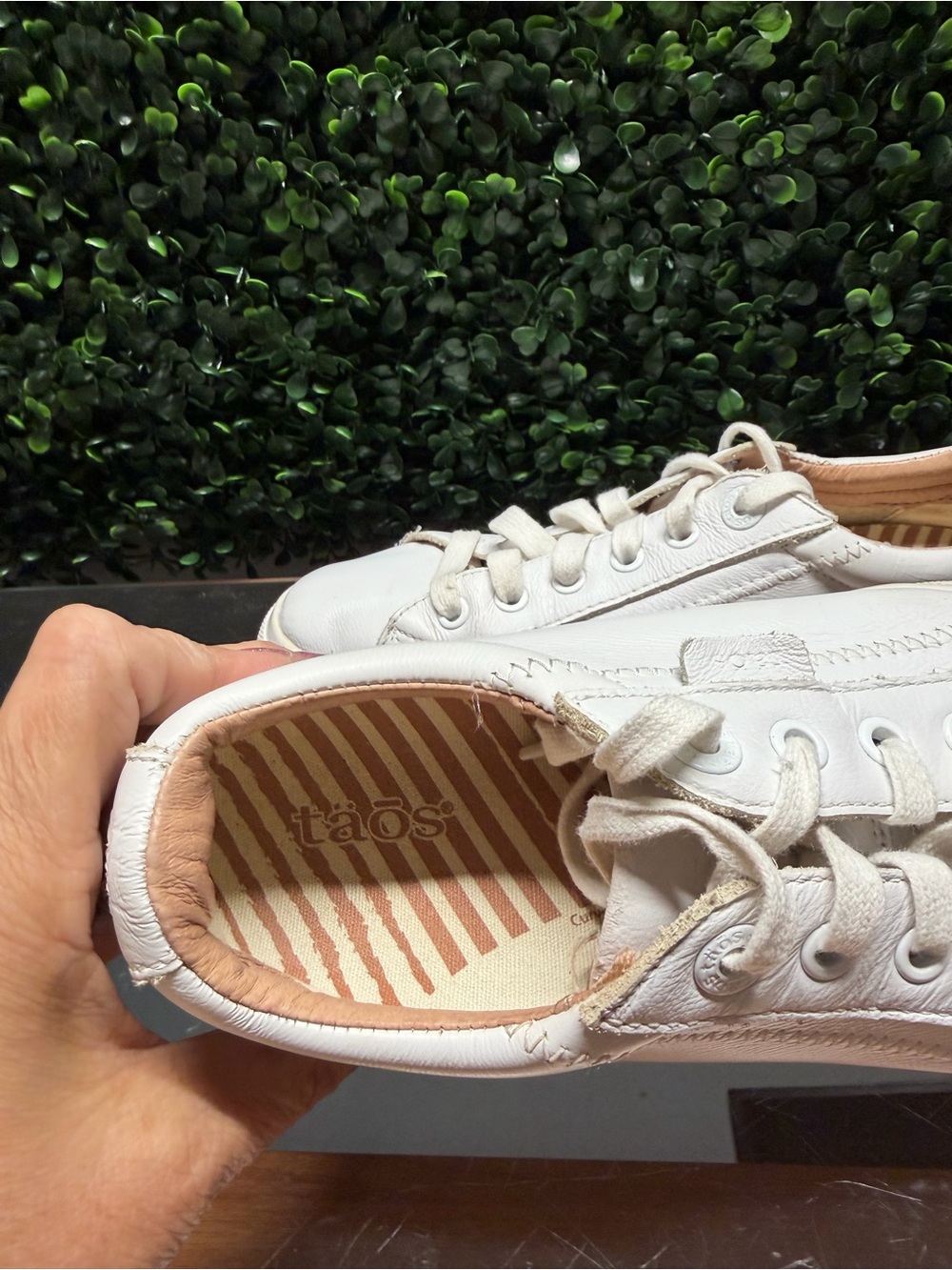 Taos Footwear White Leather Low-Top Sneakers - Picture 7 of 10